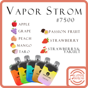 [停售]Vapor strom 風暴 一次性\拋棄式電子菸 \可充電 #7500口5%