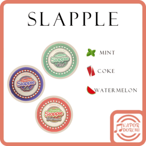 Chewing Slapple 丁感口香糖 薄荷 可樂 西瓜 辦公\飛機上解癮好幫手  一盒40入